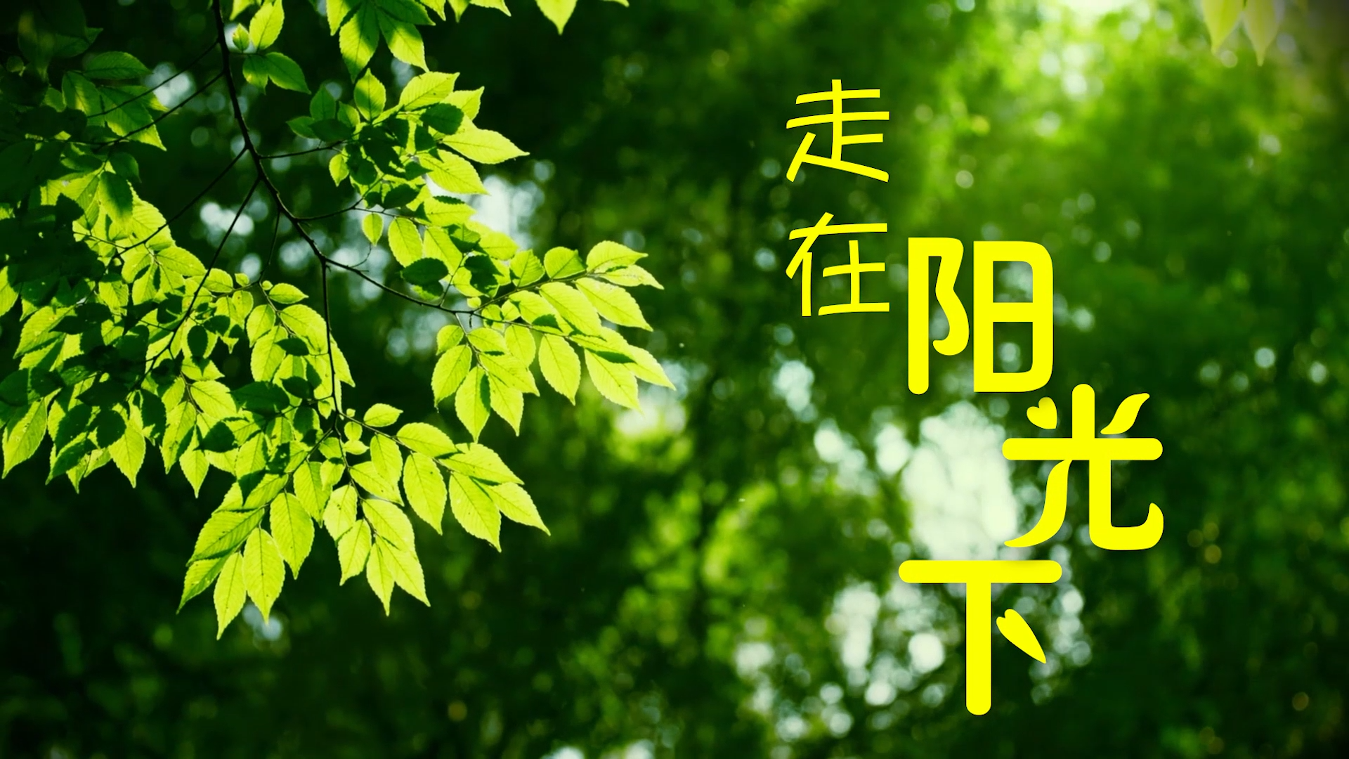 [微视频]走在阳光下