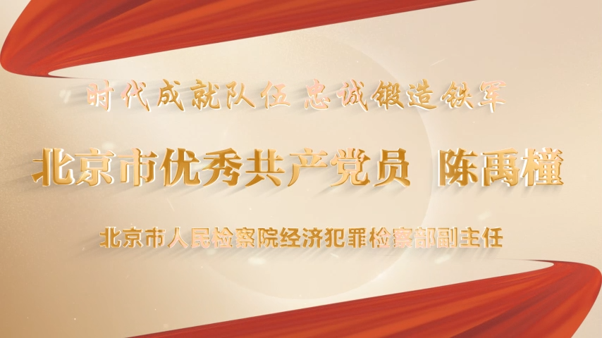 北京市“两优一先”政法风采 | 北京市人民检察院经济犯罪检察部副主任陈禹橦：十六载初心如炬  实干书写正义答卷