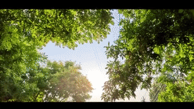 50℃高温下的“藏蓝”护考人！这份守护很清凉！[00_00_02--00_00_22].gif