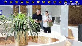 起诉状生成记