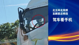 网友举报的驾车看手机，处理了！[00_01_15--00_01_35].gif