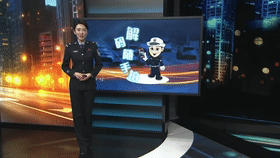 解码随手拍｜故意遮挡机动车号牌、未悬挂机动车号牌