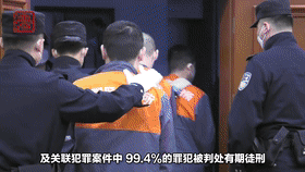 [直击一线]北京市朝阳区人民法院发布《涉电信网络诈骗案件审判白皮书》
