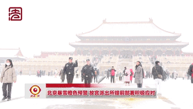 [直击一线]北京暴雪橙色预警 故宫派出所提前部署积极应对