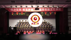 [直击一线]艺术入高墙 黄丝带帮教活动助力服刑人员改造