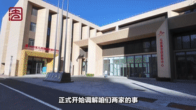 [直击一线]新时代“枫桥经验”的北京实践——榆垡法庭：多元聚力，绘就新国门新“枫”景