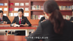 首都政法系统“两优一先”风采 | 北京市第一中级人民法院清算与破产审判庭党支部：党建引领破立新生 司法护航首都发展