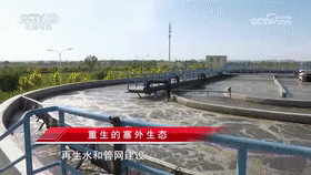 《一线》_20230925_立法监督_重生的塞外生态_2023-09-25_20_03_45[00_06_02--00_06_22].gif