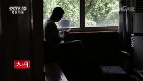 《天网》_20230928_如此鉴宝_2023-09-28_20_38_45[00_04_17--00_04_37].gif