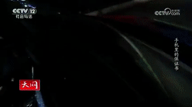 手机里的保证书[00_01_03--00_01_23].gif