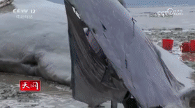 保持呼吸[00_01_21--00_01_41].gif