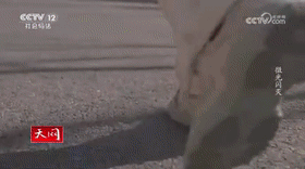微光闪灭[00_01_11--00_01_31].gif