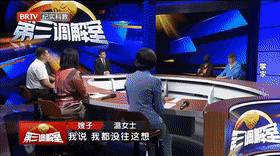 掌家（1）