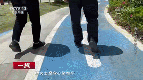 两度被告的女婿