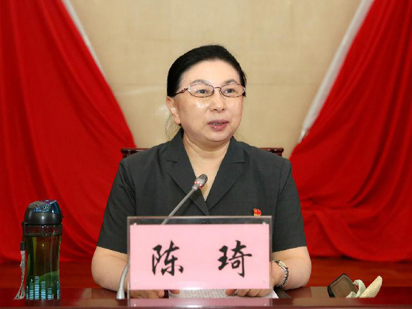 密云法院党组书记院长陈琦为全院干警讲授主题党课