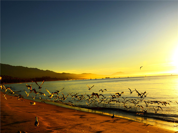 海边拾景