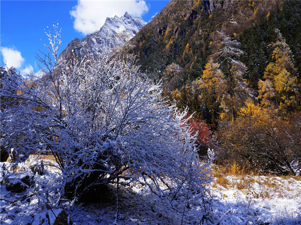 毕棚沟的雪