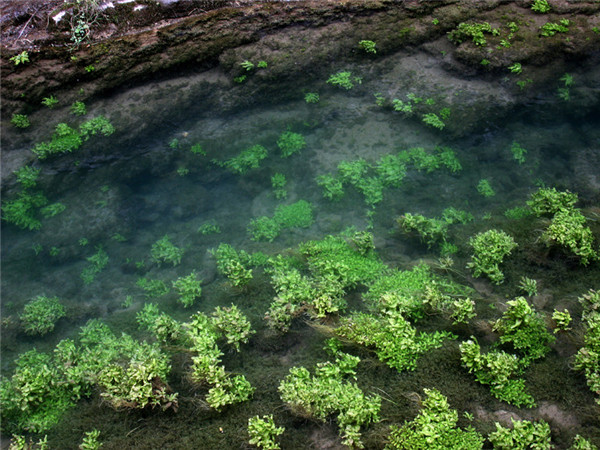 云台山之水