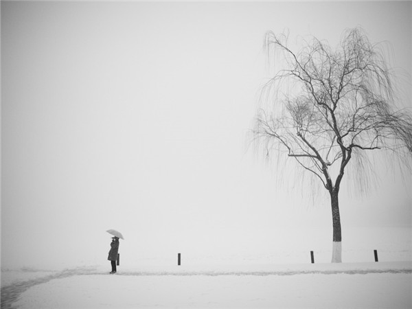 雪.无声