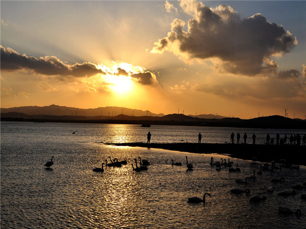 天鹅湖的夕阳
