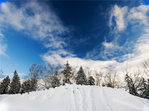 雪乡