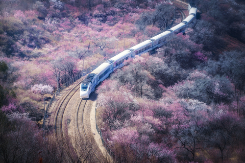 开往春天的列车