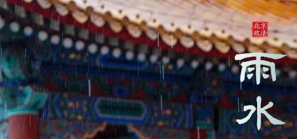 今日雨水｜雨润心田 自生芳华