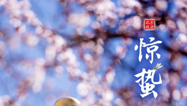 今日惊蛰 | 春来寒渐远 天暖万物苏
