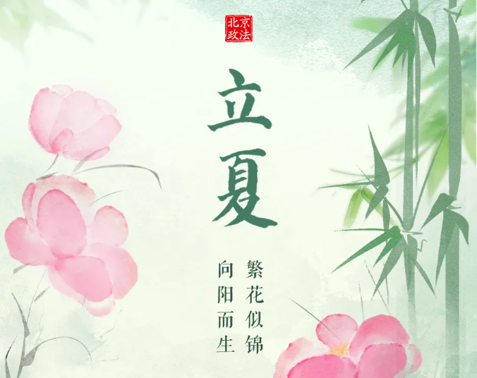 今日立夏｜繁花似锦 向阳而生
