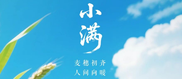今日小满｜麦穗初齐 人间向暖