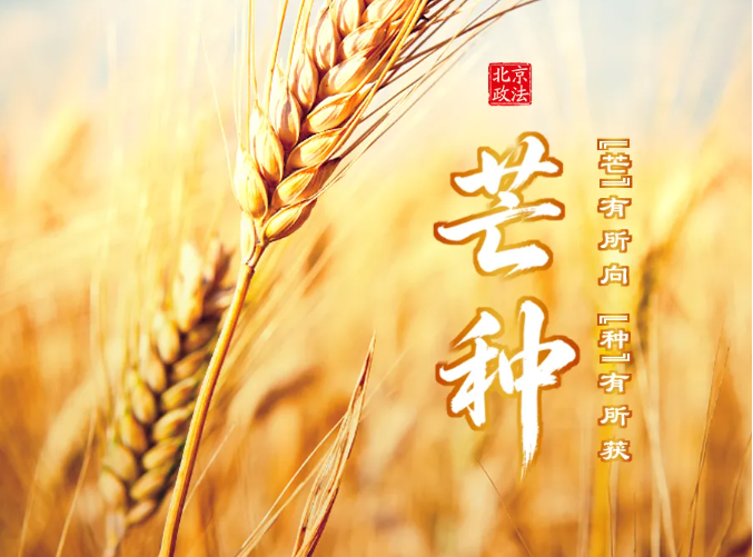 今日芒种 | “芒”有所向 “种”有所获