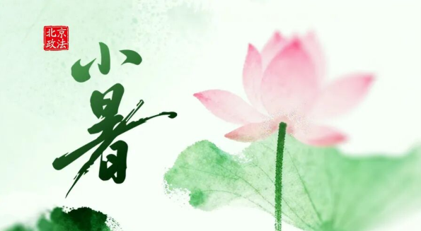 今日小暑｜荷风消暑 岁岁长安