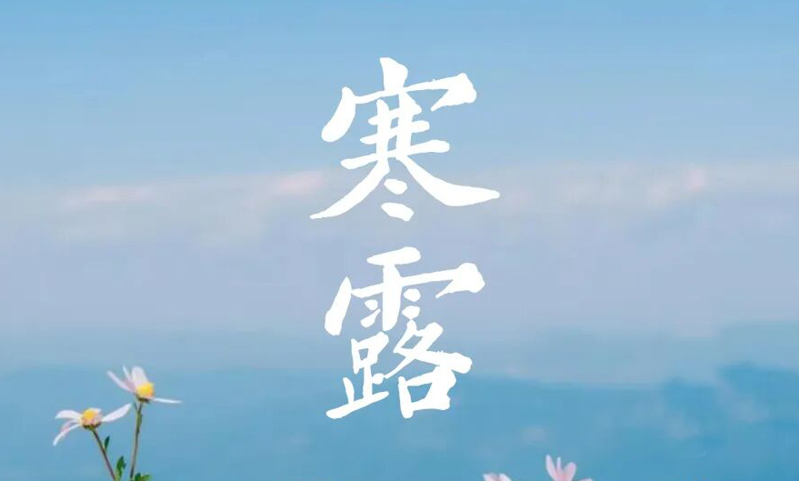 今日寒露｜天高秋色 草木凝光