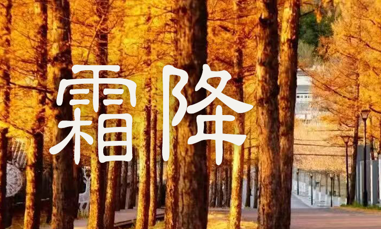 今日霜降｜疏木凝霜 寒鸿向远