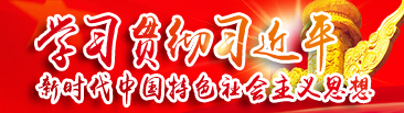 01.jpg