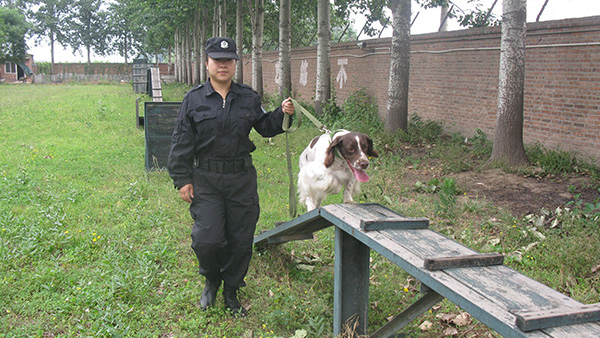 北京警犬基地真实图片图片