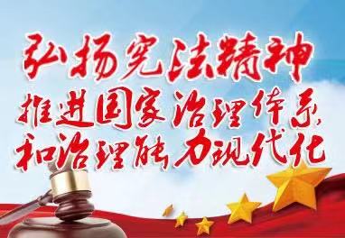 第六个“国家宪法日”专题