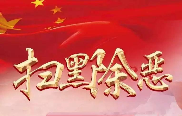 北京市召开扫黑除恶专项斗争推进会