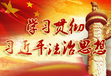 学习贯彻习近平法治思想