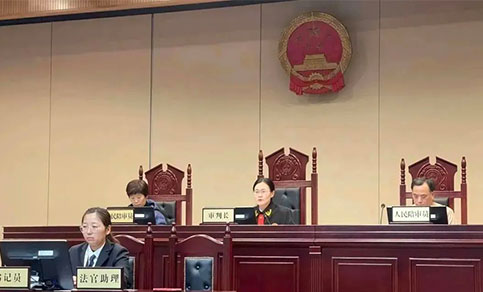 今天,我在法院读《宪法》