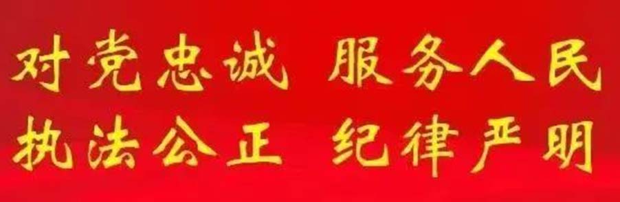 公安部学习贯彻习近平新时代中国特色社...