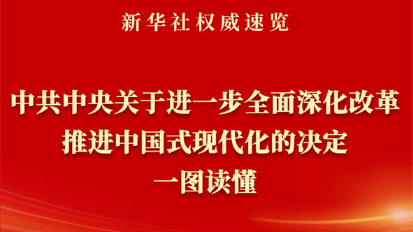《中共中央关于进一步全面深化改革、 推进中国式现代化的决定》一图读懂