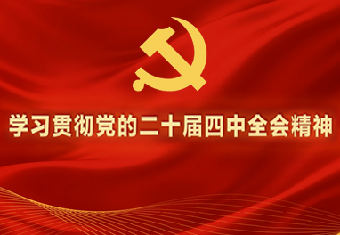 学习贯彻党的二十届四中全会精神