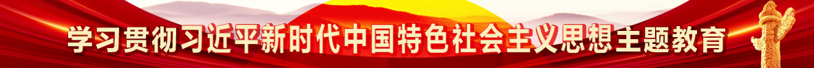 学习贯彻习近平新时代中国特色社会主义思想主题教育